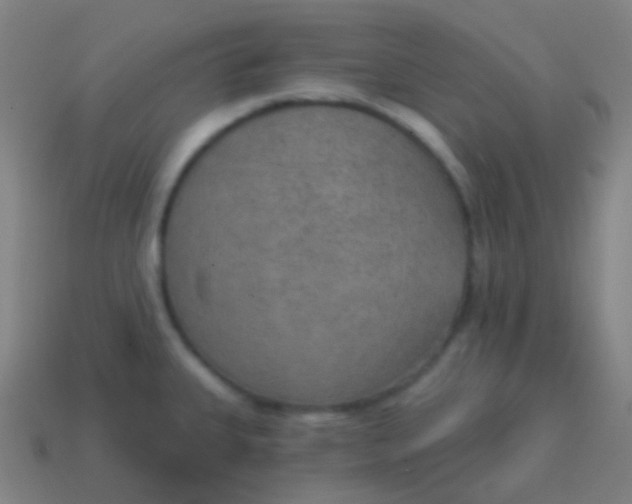 X0000115071335200911101255