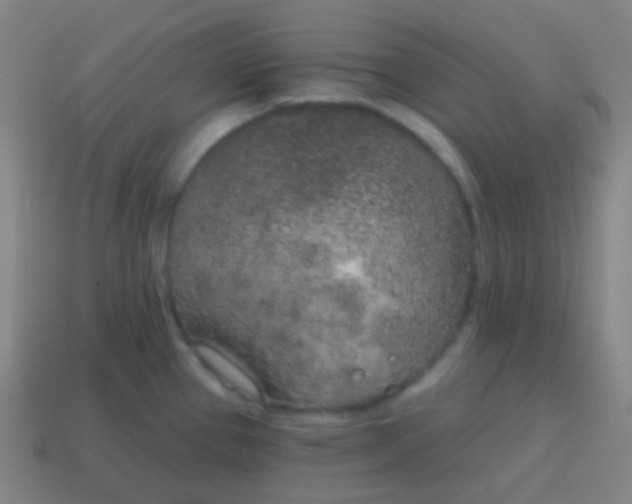 X0000115071337200911101255