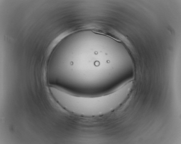 X0000115071338200911101255