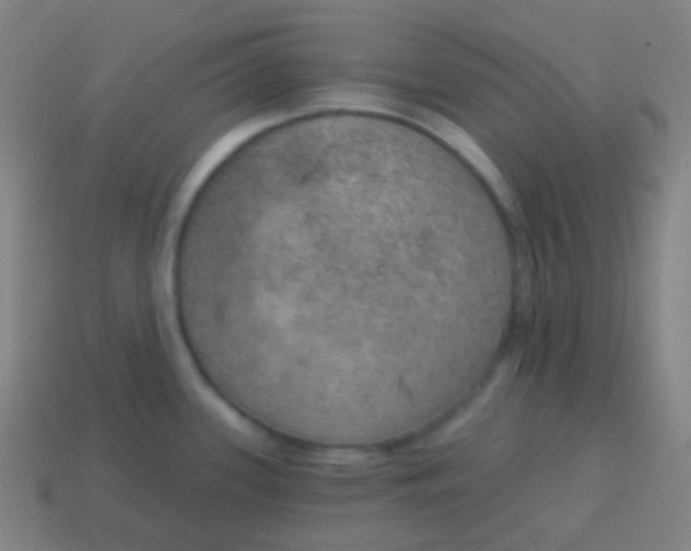 X0000115071339200911101255