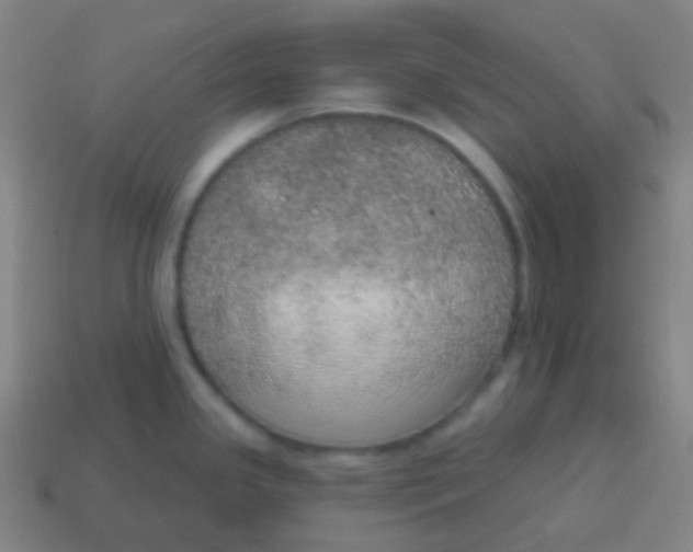 X0000115071341200911101255