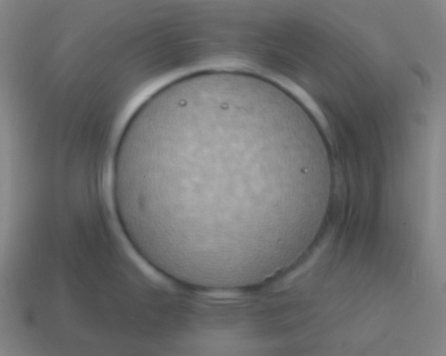 X0000115071343200911101255