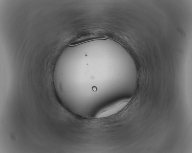 X0000115071345200911101254