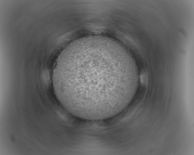 X0000115071347200911101254
