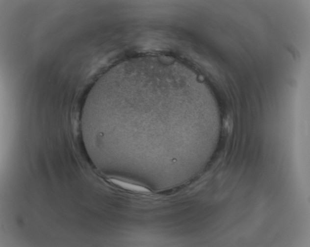 X0000115071348200911101254