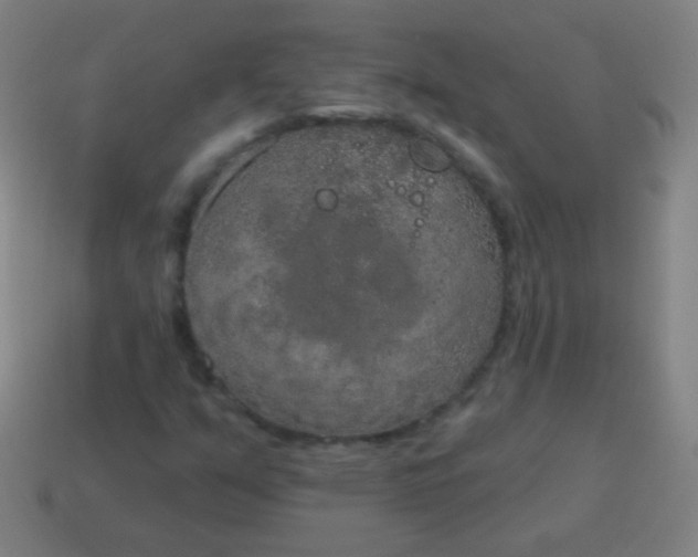 X0000115071351200911101254