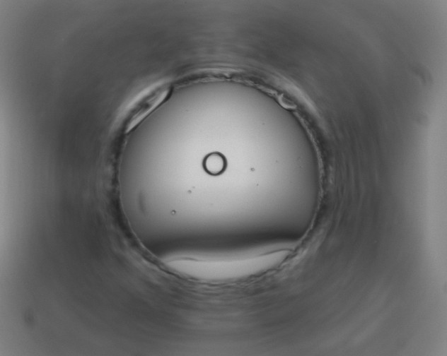 X0000115071352200911101254