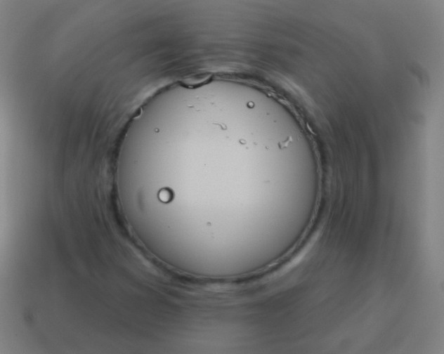 X0000115071353200911101254