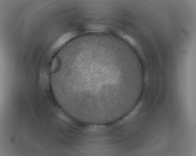 X0000115071354200911101254