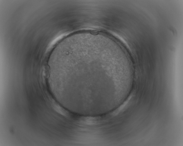 X0000115071355200911101254