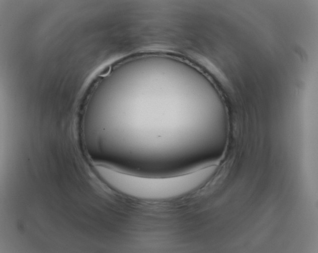 X0000115071356200911101254