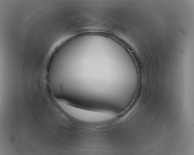 X0000115071357200911101254