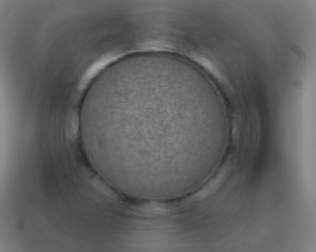 X0000115071358200911101254