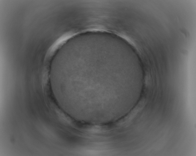 X0000115071359200911101254