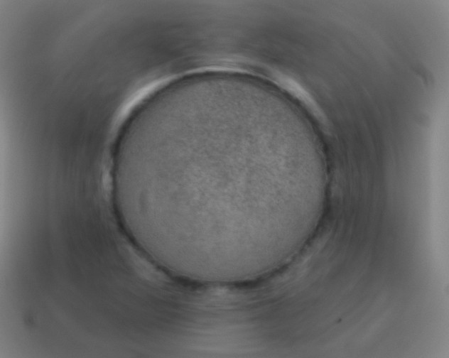 X0000115071360200911101254