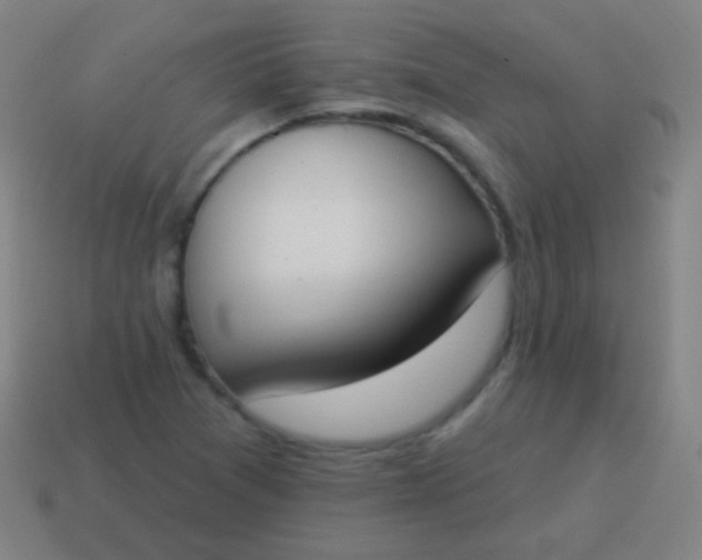 X0000115071361200911101254