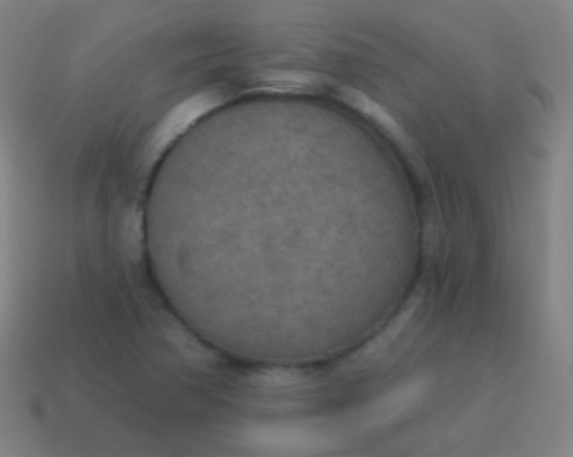 X0000115071362200911101254