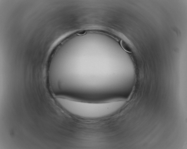 X0000115071364200911101254
