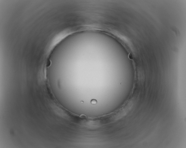 X0000115071365200911101254