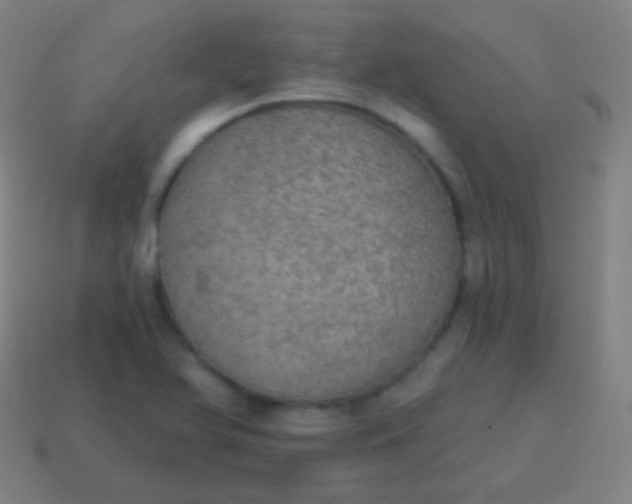 X0000115071366200911101254