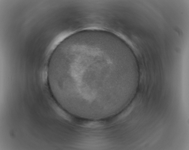 X0000115071367200911101254