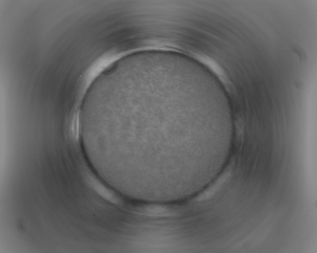 X0000115071371200911101254