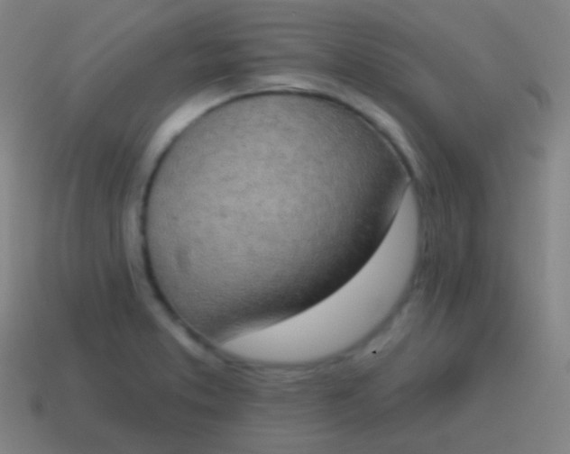 X0000115071373200911101254