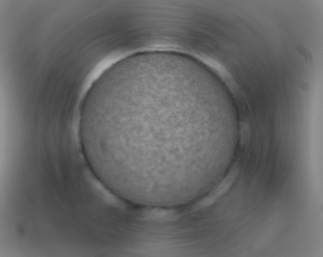X0000115071374200911101254
