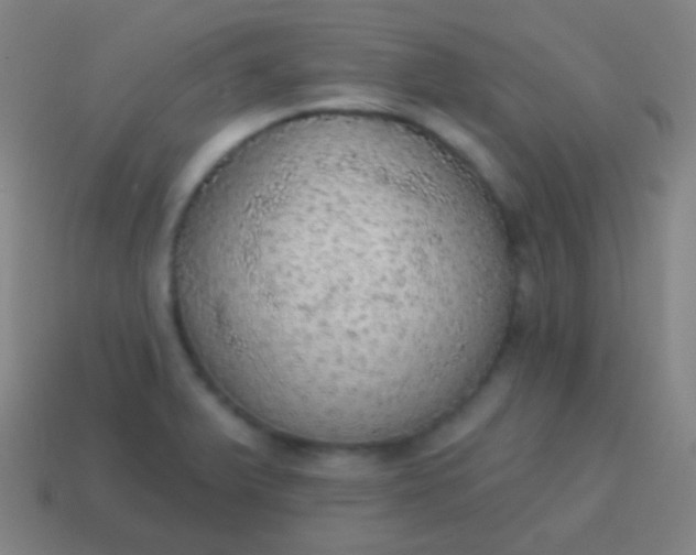 X0000115071375200911101254