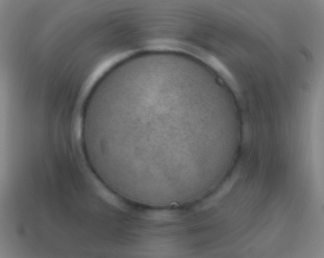 X0000115071376200911101254