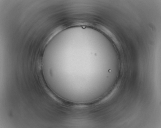 X0000115071377200911101254