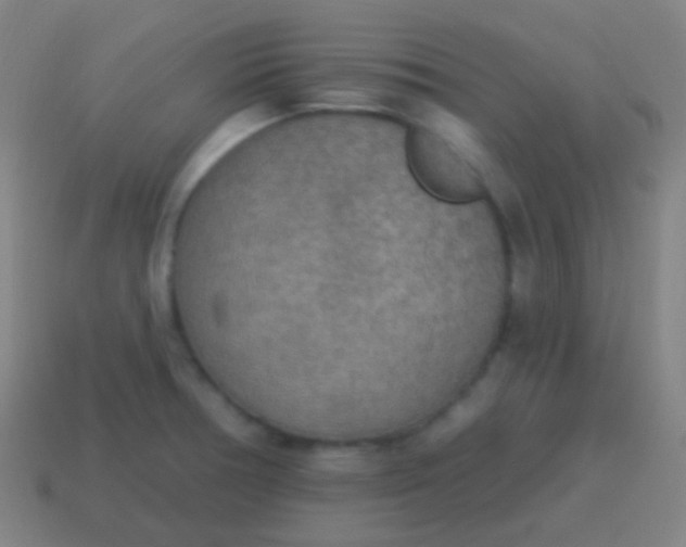 X0000115071378200911101254