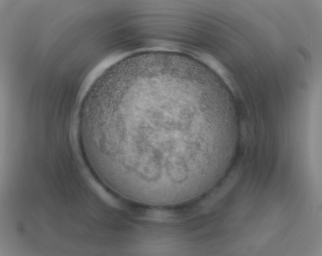 X0000115071379200911101254