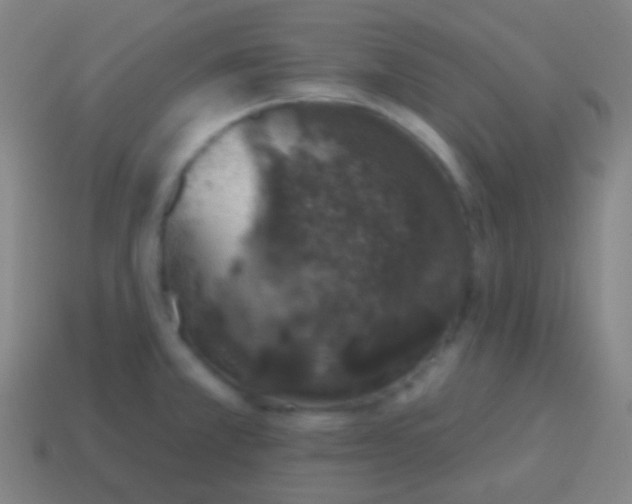 X0000115071381200911101254