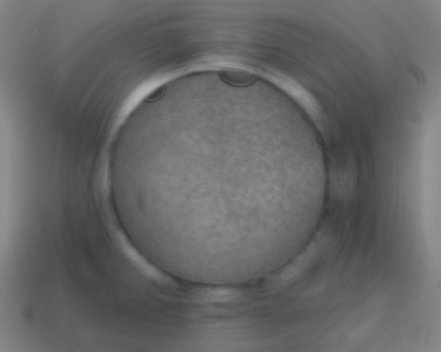 X0000115071382200911101254