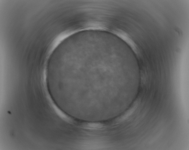 X0000115071383200911101254