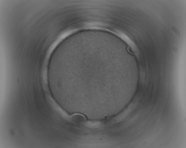 X0000115071384200911101254