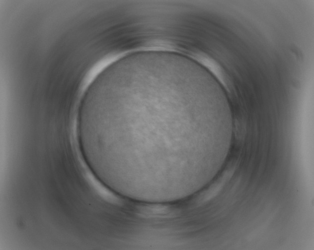 X0000115071387200911101254