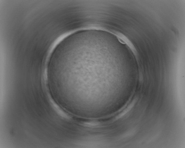 X0000115071388200911101254