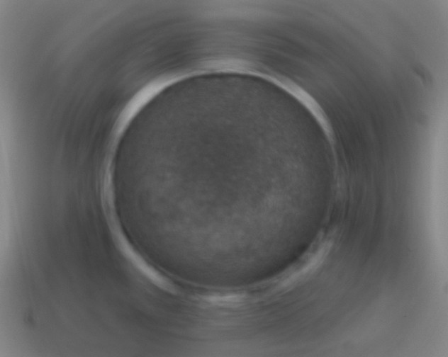 X0000115071389200911101254