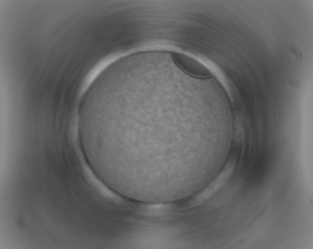 X0000115071390200911101254