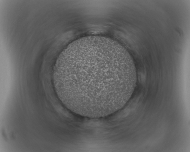 X0000115071393200911101253
