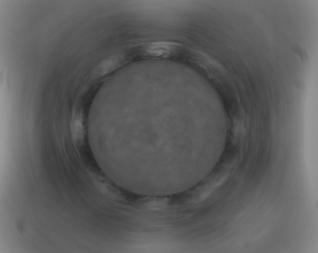 X0000115071394200911101253