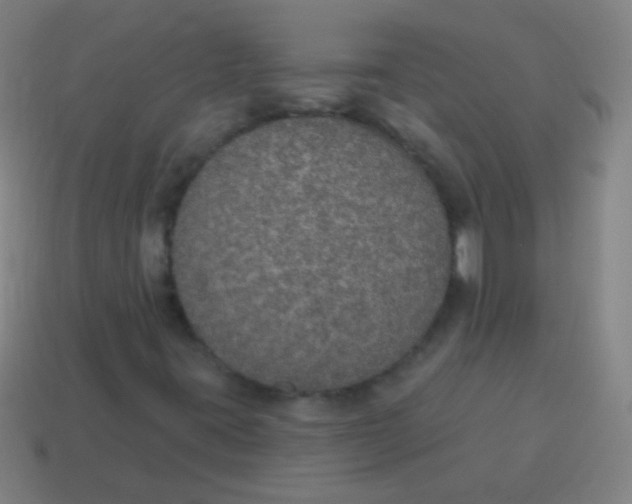 X0000115071395200911101253