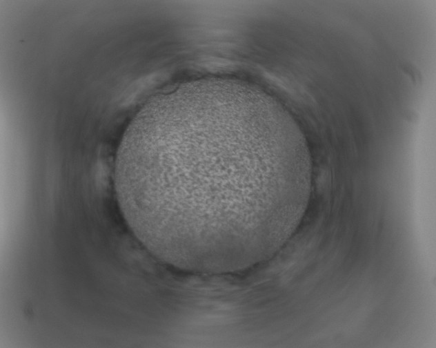 X0000115071397200911101253