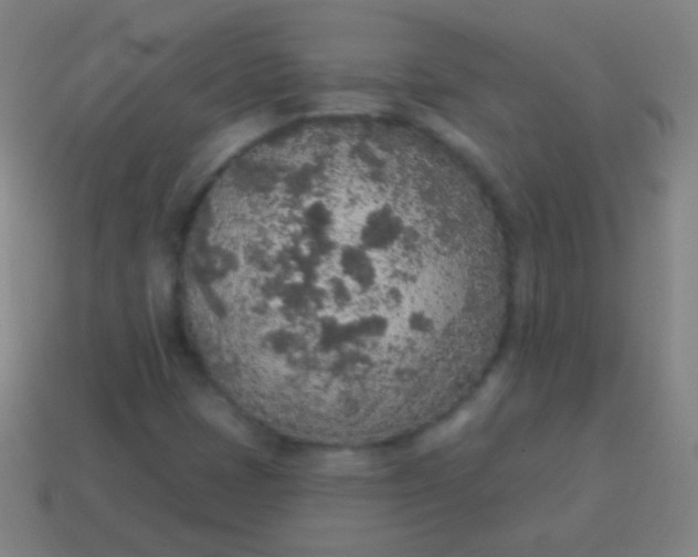 X0000115071401200911101253