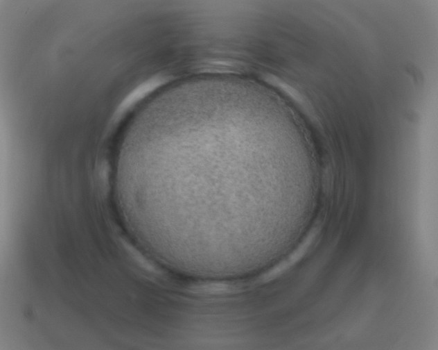 X0000115071402200911101253