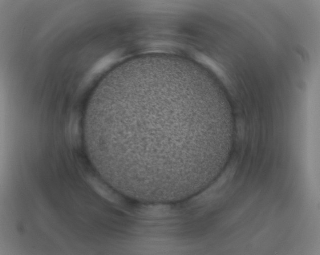 X0000115071403200911101253