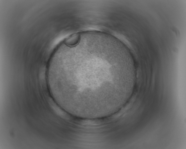 X0000115071404200911101253