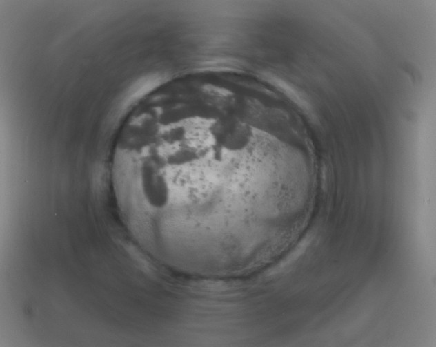 X0000115071405200911101253